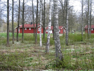 Familieferie ved s&oslash; og skov