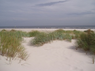 Nyd stranden med hele familien