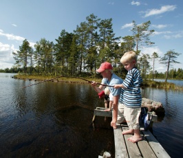 Familieferie i Sveriges natur