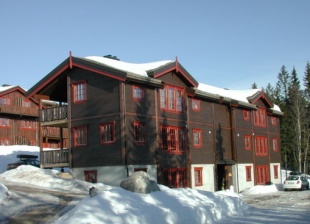 Litunet