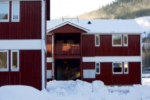 Lassiebyn i Bran&auml;s