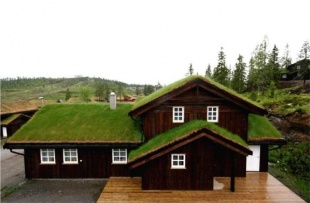 Orren H&aring;konsbu i Bran&auml;s
