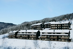 Jaertunet type D