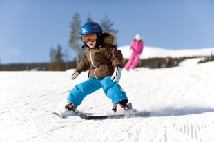 Trysilfjellet ved Trysil i Norge