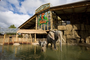 Det nye Jungleland for hele familien