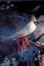 Og fisken skal grilles