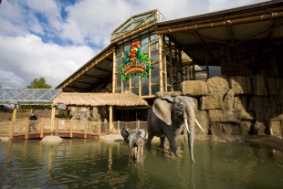 Det nye Jungleland for hele familien