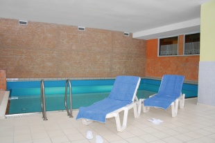 Swimmingpool p&aring; Vitalhotel Gosau