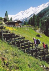 Gode vandremuligheder ved Zell am See