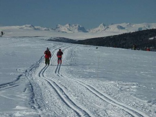 Langrend i den smukke norske natur ved Valdres