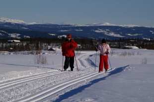 Gode muligheder for langrend ved Gomobu