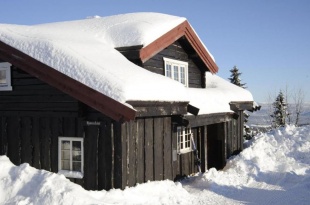 Bj&oslash;nnhiet i Trysil