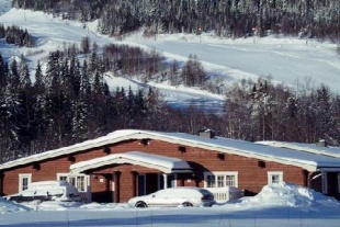B&auml;vern i Bran&auml;s