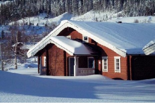 M&aring;rden i Bran&auml;s