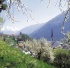 Imst i Tyrol