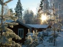 Hytte Type C i Bjurs�s