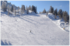 Marilleva 1400 - Val di Sole - Skiferie i Italien