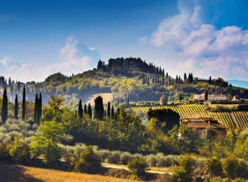 Bo i Toscanas bløde dale mellem vinmarker og olivenlunde