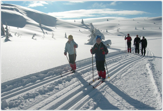 Langrend i Stöten - Skiferie i Sverige