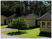 Rådjuret - Isaberg - Sommerferie i Sverige